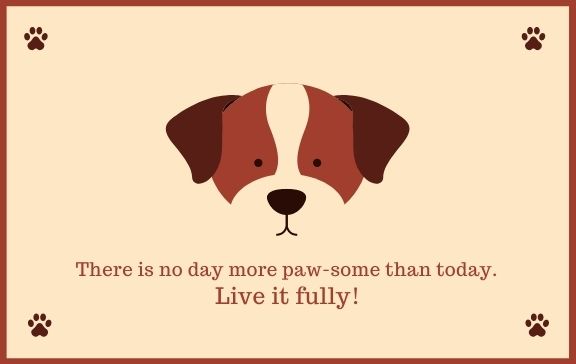 Dog Puns