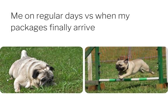 best dog puns