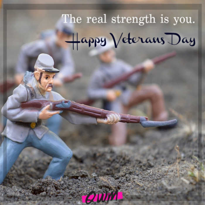 The real strength is you. Happy Veterans Day.