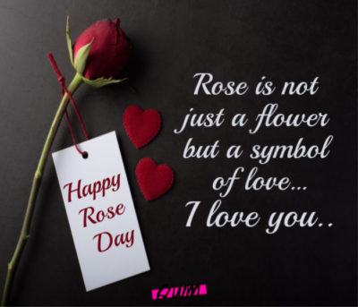 Happy Rose Day 2021 Quotes Wishes Rose Day Images With Messages