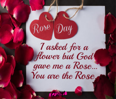 Happy Rose Day 2023 Messages - Heart-Tugging Rose Day Wishes - Rose Day SMS