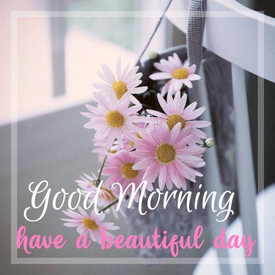 Good Morning Images Hd Photos Wallpapers Gifs Morning My Love Pic