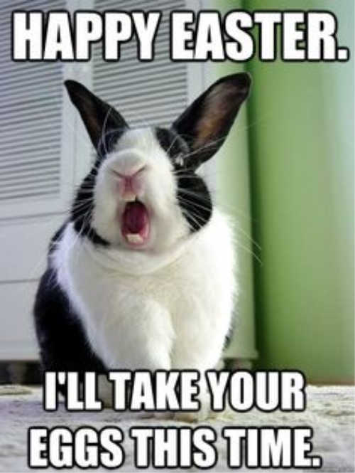 Funny Happy Easter Memes 2021 : Easter Bunny Eggs, Religious Memes