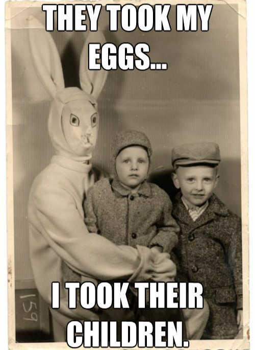 easter cat memes