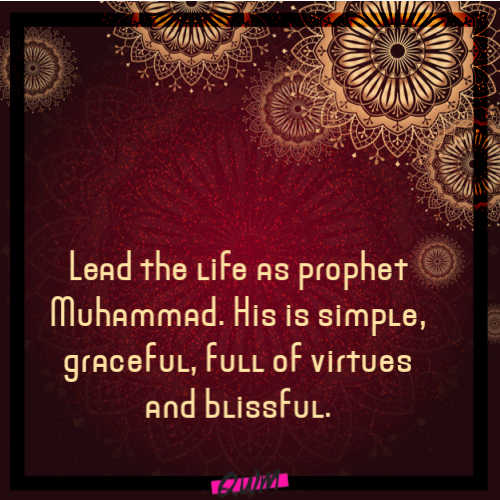 Lead the life as prophet Muhammad. His is simple, graceful, full of virtues and blissful. 