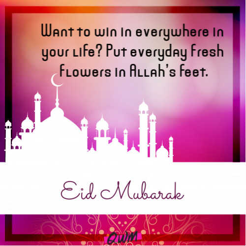 Want to win in everywhere in your life? Put everyday fresh flowers in Allah’s feet.