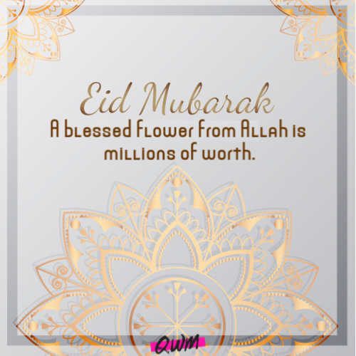 A blessed flower from Allah is millions of worth.