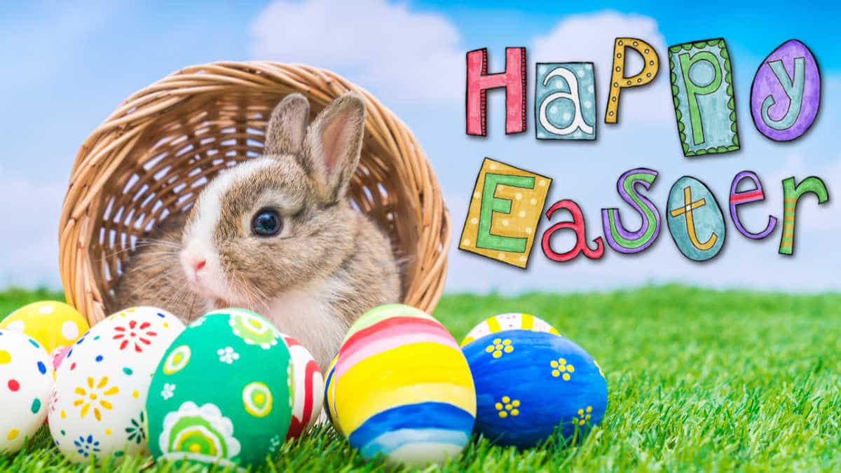 Happy Easter 2020 Images, Funny Easter Eggs & Bunny Photos