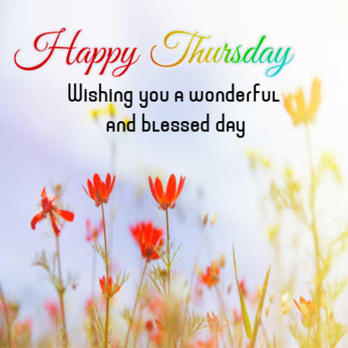 Happy Thursday Quotes, Good Morning Thursday Messages