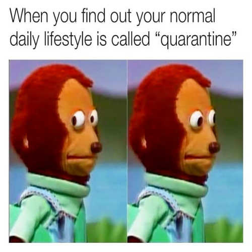 Funny Quarantine Memes