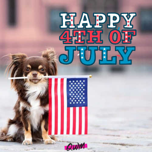 Happy Fourth of July Images with Dogs