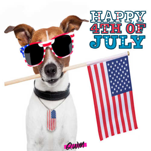 2020 Fourth of July Photos with Dogs