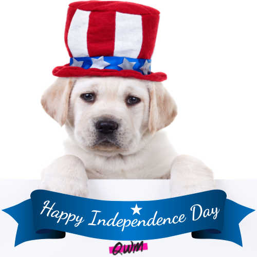 4th of July Images with Dogs
