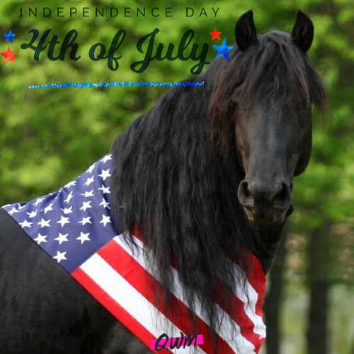 2020 Fourth of July Pictures with Horses 