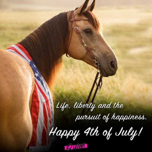 Happy Fourth of July Pictures with Horses 