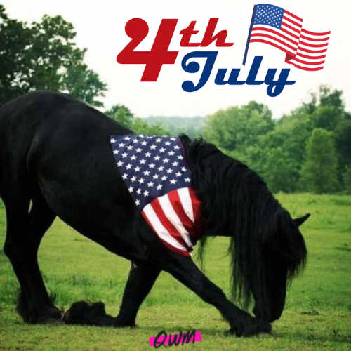 Happy 4th of July Images with Horses 