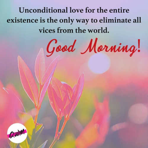 Good Morning Status For Whatsapp Good Morning Thoughts of The Day