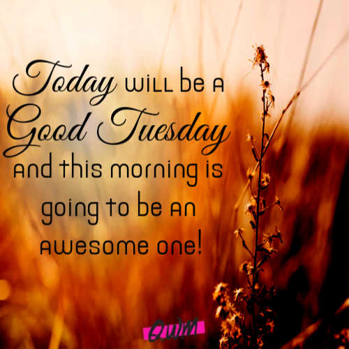 Happy Tuesday Quotes | Good Morning Tuesday Wishes, Messages