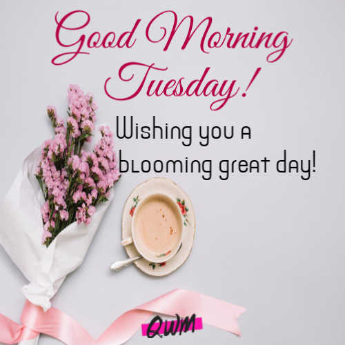Good Morning Tuesday Wishes 