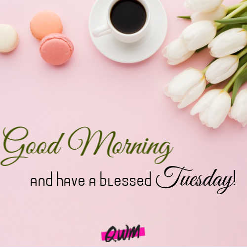 Tuesday Good Morning Messages