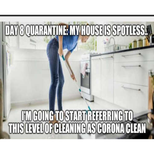 quarantine day memes 2020