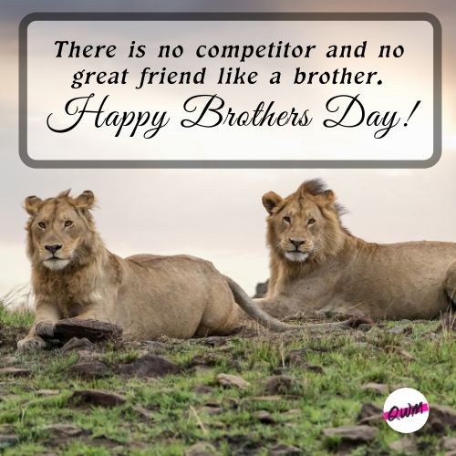 Happy Brothers Day Wishes Quotes