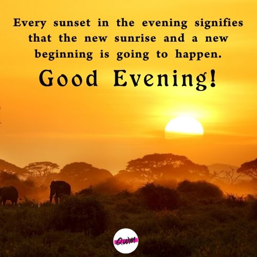 Happy Good Evening Wishes
