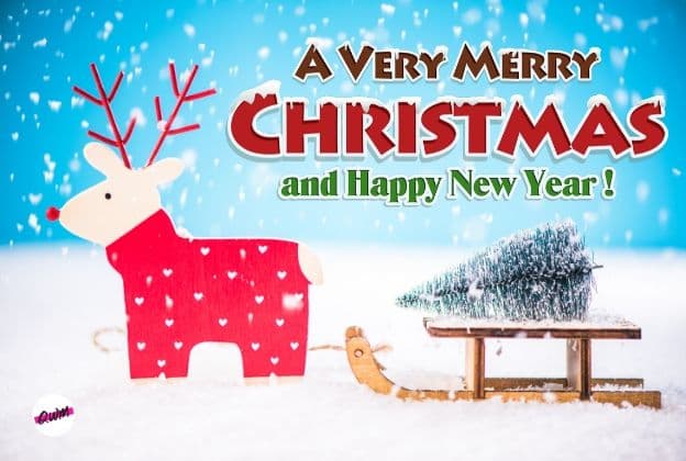 100+ Merry Christmas 2021 Images | Happy Christmas Pictures