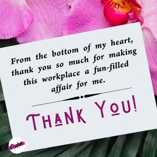 Appreciation Messages for Colleagues, Inspirational Thank You Messages for Coworkers