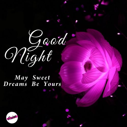 Good Night Images Pictures Sweet Dreams Wallpapers Hd