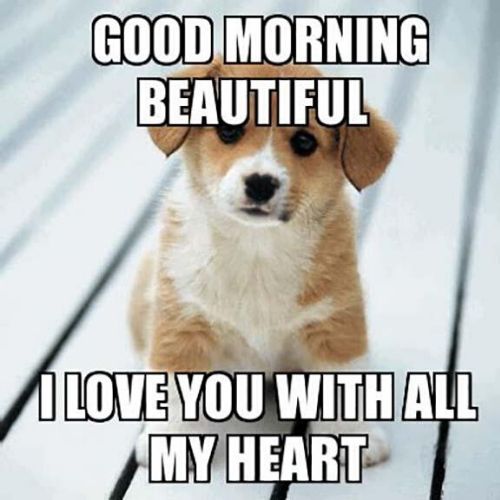 Funny Good Morning Memes Have A Good Day Memes For Him Her