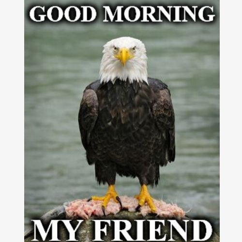 Memes de buenos días para amigos