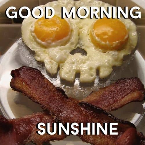 good morning memes funny