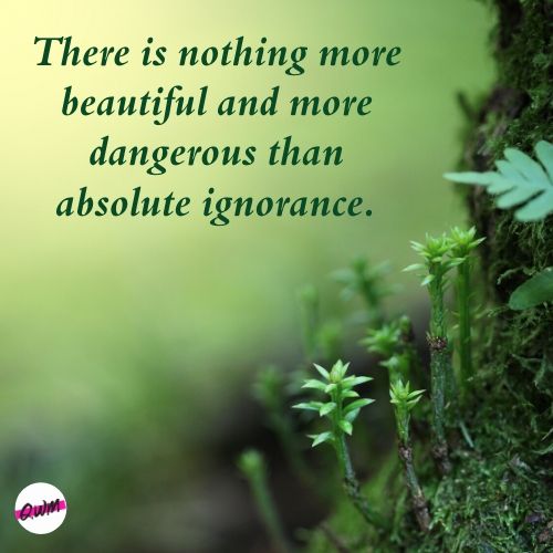 Ignorance Quotes 