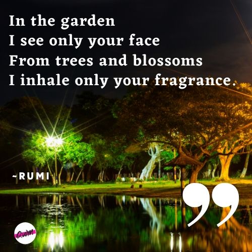 rumi quotes on nature