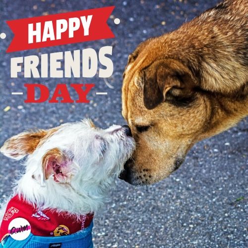 Friendship Day Images for Whatsapp Download 