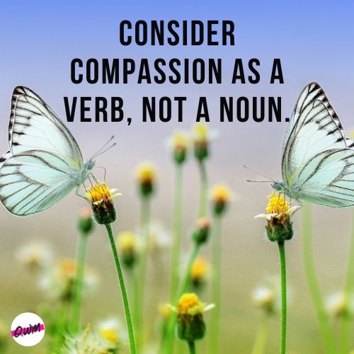 compassion love quotes