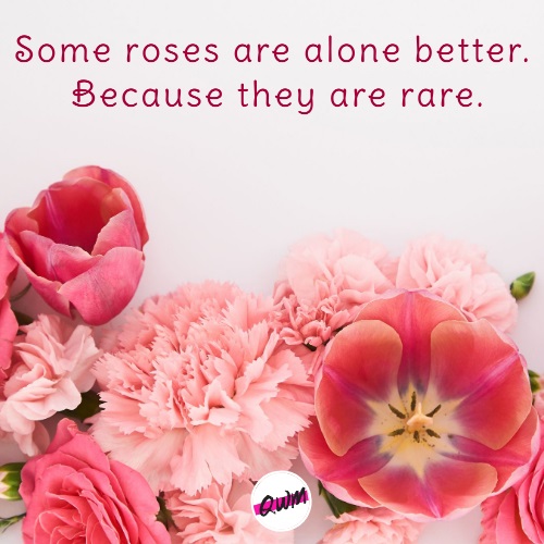 Romantic One Liner Love Quotes