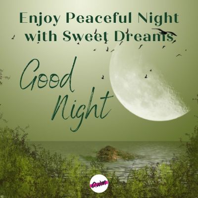 enjoy peaceful night with sweet dreams good night