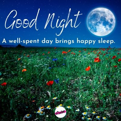 good night a well spent day brings happy sleep.
