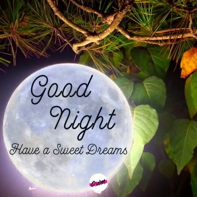 good night have a sweet dreams.