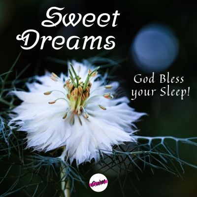 sweet dreams god bless your sleep!