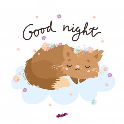 good night my love