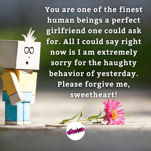 Long Sorry Messages for her