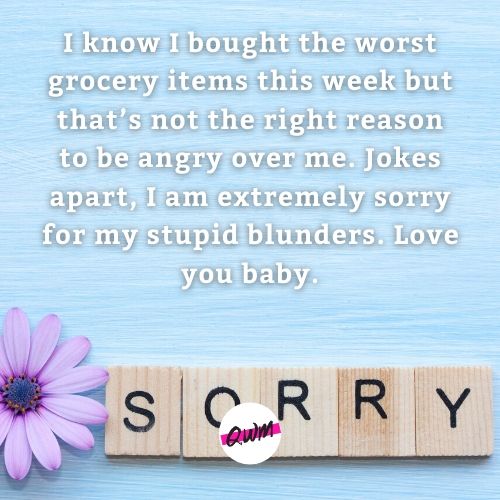 Funny Apology Messages for Girlfriend