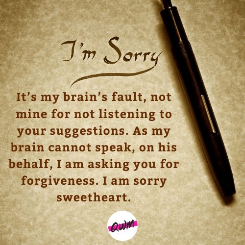 Funny Apology Quotes for Girlfriend