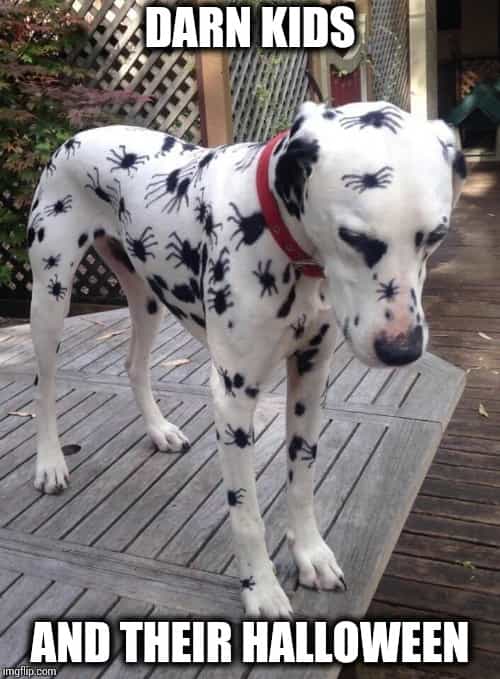 Scary Funny Happy Halloween Memes 2020 Images Of All Time