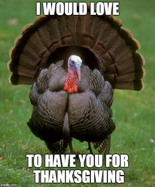 Funny Happy Thanksgiving 2023 Memes