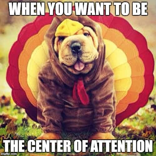 50+ Funny Happy Thanksgiving Memes 2022, Turkey Memes