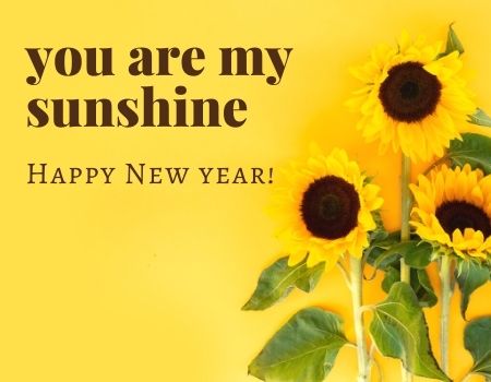 Romantic Happy New Year 2022 Messages for Girlfriend | Lovely New Year Wishes for Her